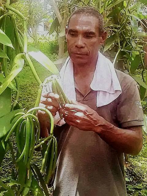 Vanilla Farming